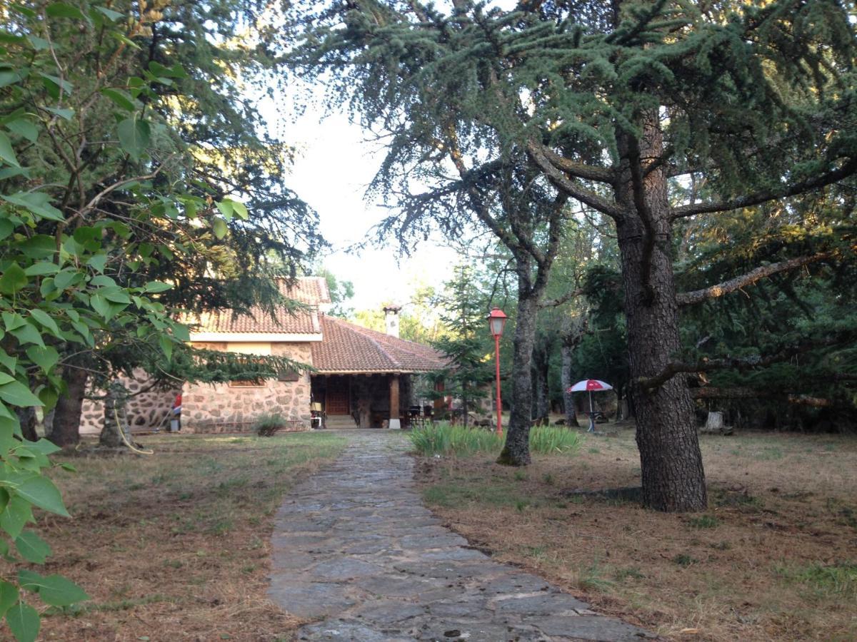 Exclusiva Casa Y Finca Privada Itos Pelayos del Arroyo Kültér fotó